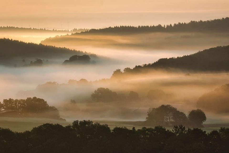 bewaldete Hügellandschaft, stimmungsvoll im Morgennebel